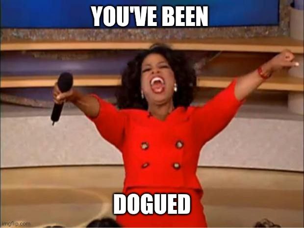 meme $DOGUE